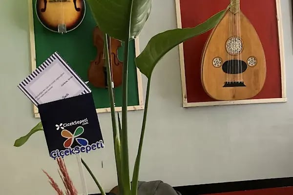 ARSIZLAR SANAT AKADEMİSİ - Resim 8