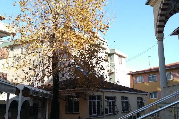 Kocasinan Merkez Cami - Resim 18
