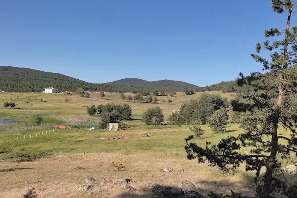 Kamp Bozayı - Resim 4
