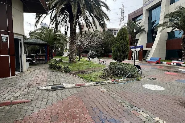 İstanbul Gelişim Üniversitesi Yabancı Diller Yüksekokulu - Resim 11