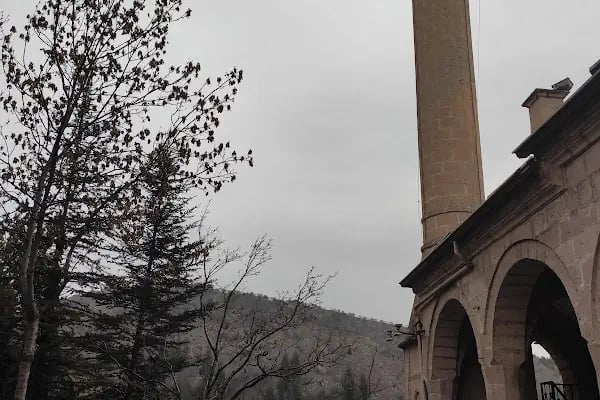 Halidiye Cami - Resim 8