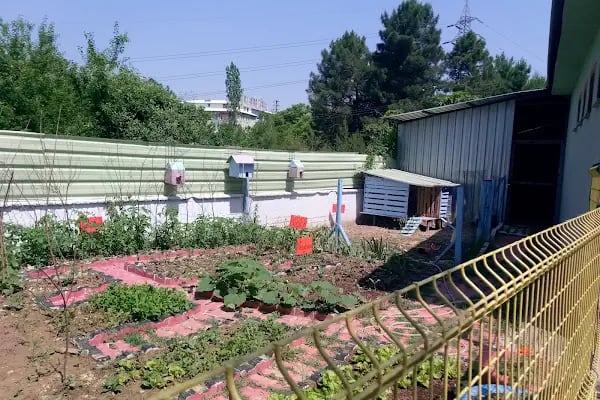 Yavuz Selim İlköğretim Okulu - Resim 2