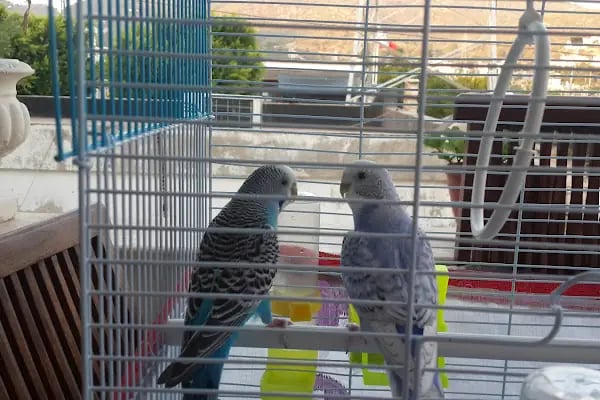 Adayer Parkı - Resim 12