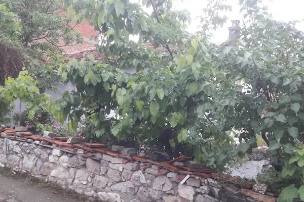 Orhaneli Belediyesi - Resim 11