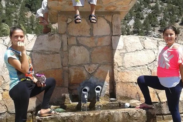 Bodamya Yaylası - Piknik Alanı - Resim 9