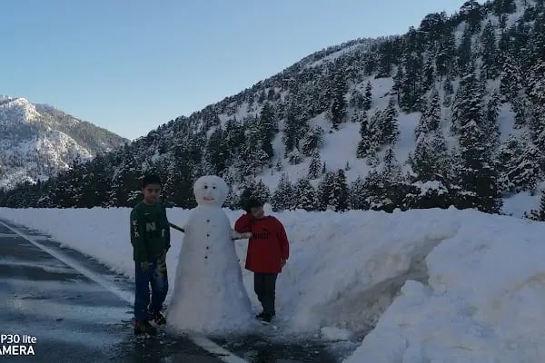 Bodamya Yaylası - Piknik Alanı - Resim 18
