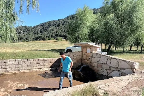 Bodamya Yaylası - Piknik Alanı - Resim 3