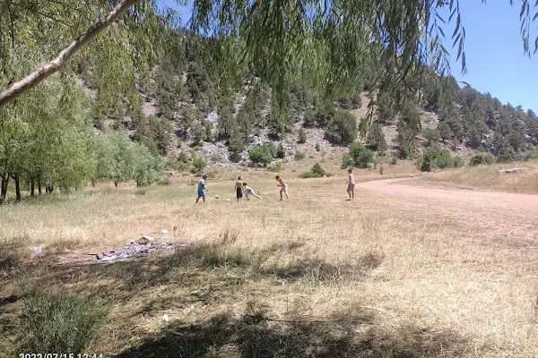 Bodamya Yaylası - Piknik Alanı - Resim 7