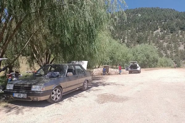 Bodamya Yaylası - Piknik Alanı - Resim 16