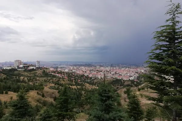 Aliya İzzet Begoviç Parkı - Resim 2