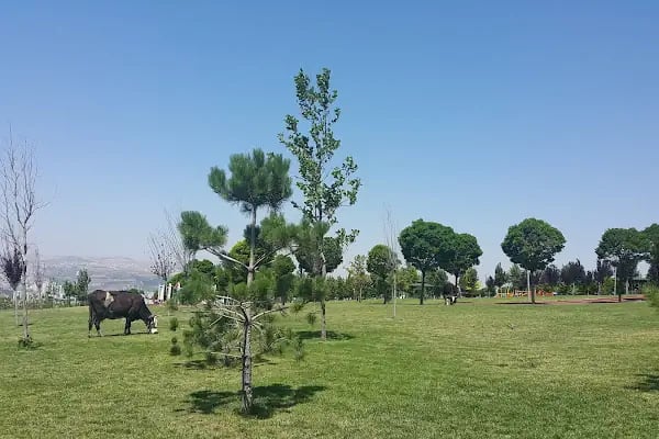 Aliya İzzet Begoviç Parkı - Resim 3