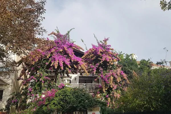 Büyükada (Mavi Marmara, Dentur) - Resim 13