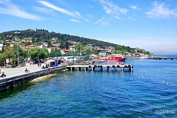 Büyükada (Mavi Marmara, Dentur) - Resim 5