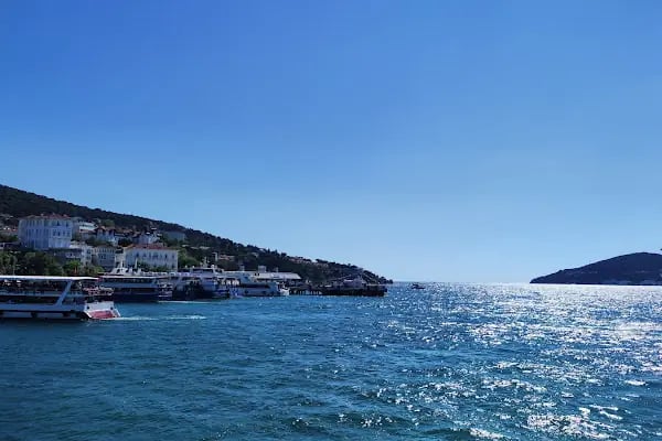 Büyükada (Mavi Marmara, Dentur) - Resim 3