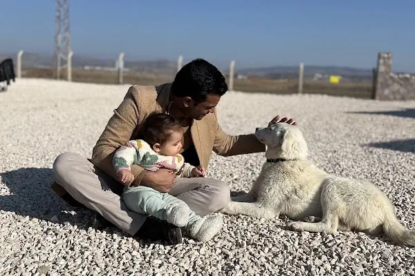 DREAM HORSE BİNİCİLİK VE ATLI SPOR KULÜBÜ - Resim 4