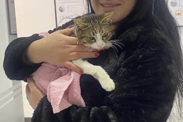 PETCLASS VETERİNER KLİNİĞİ - Resim 7