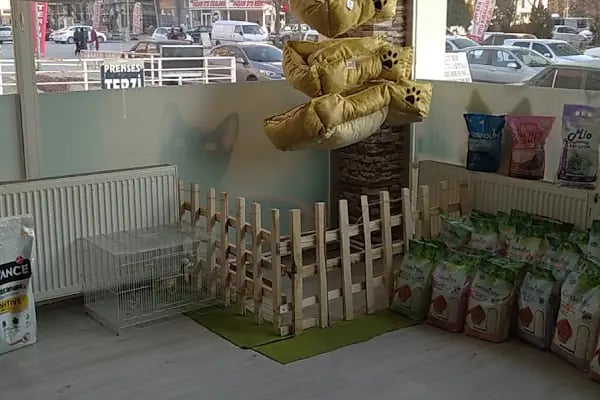 Pusula Veteriner Kliniği - Resim 11