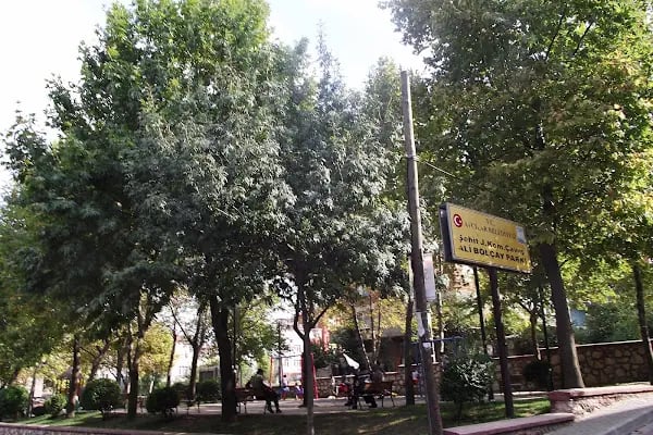 T.C. Avcılar Belediyesi Şehit J.Kom.Çavuş Ali Bolçay Parkı - Resim 15