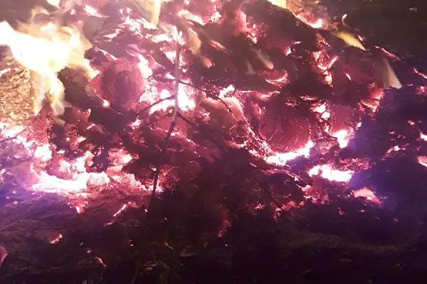 T.C. Avcılar Belediyesi Şehit J.Kom.Çavuş Ali Bolçay Parkı - Resim 13