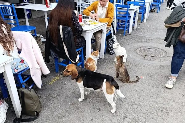 Kınalı Ada Çocuk parkı - Resim 11