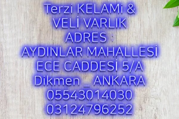 TERZİ KELAMİ VARLIK-VELİ VARLIK - Resim 7