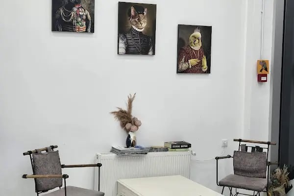 Petheart Sakarya 24 Saat Açık Acil Nöbetçi Veteriner Kliniği - Adapazarı - Resim 7