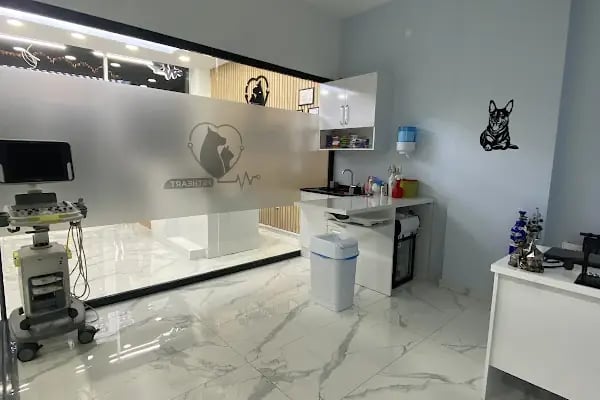 Petheart Sakarya 24 Saat Açık Acil Nöbetçi Veteriner Kliniği - Adapazarı - Resim 19