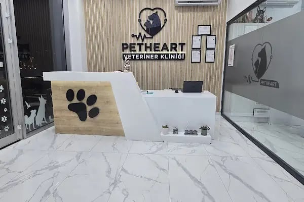 Petheart Sakarya 24 Saat Açık Acil Nöbetçi Veteriner Kliniği - Adapazarı - Resim 4
