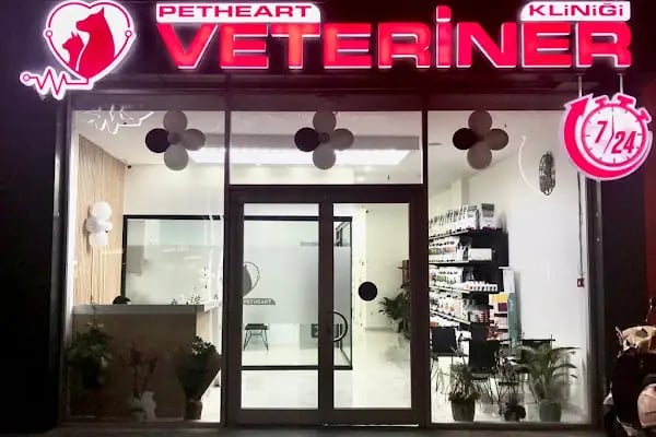 Petheart Sakarya 24 Saat Açık Acil Nöbetçi Veteriner Kliniği - Adapazarı - Resim 2