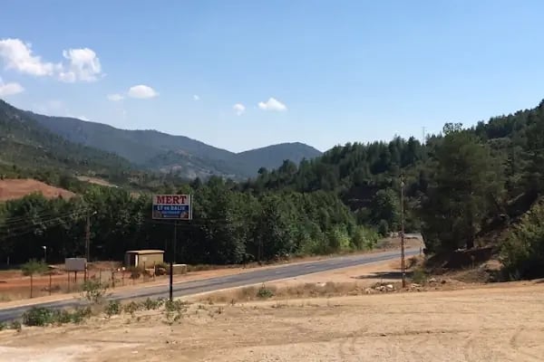 SAİMBEYLİ MAVİSİ CAFE &amp; RESTAURANT - Resim 11