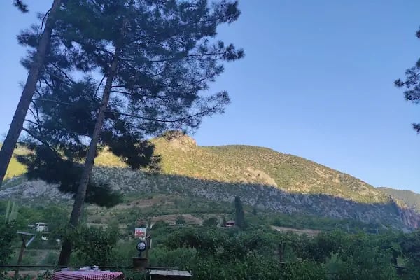 SAİMBEYLİ MAVİSİ CAFE &amp; RESTAURANT - Resim 10