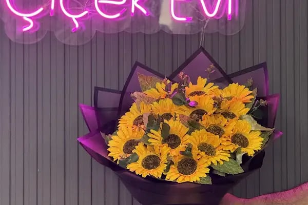 lila çiçek evi - Resim 13