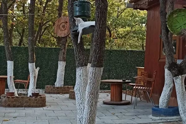 Çerkezköy Tepe Cafe Restaurant - Resim 9