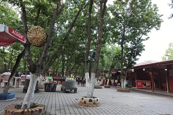 Çerkezköy Tepe Cafe Restaurant - Resim 16