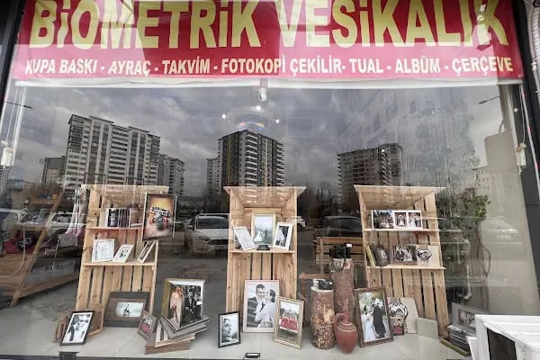 Fotoğraf Obası - Resim 9