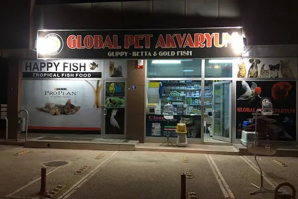 Global Pet Akvaryum - Resim 15
