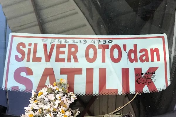Sil-Ver Kuru Temizleme Motorlu Araçlar Alım-Satım LTD. Şti. - Resim 3