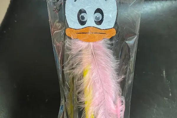 CikletPetshop Avcılar - Resim 7
