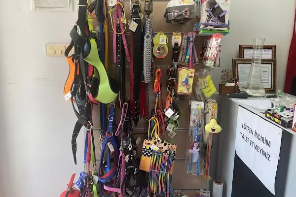 CikletPetshop Avcılar - Resim 3
