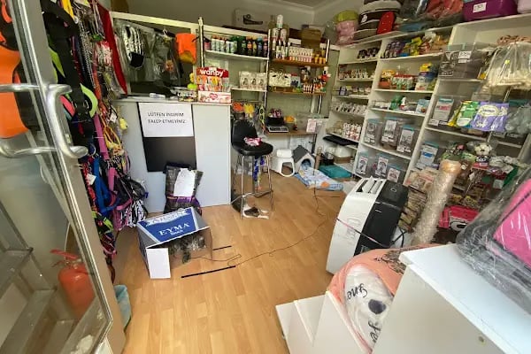 CikletPetshop Avcılar - Resim 11