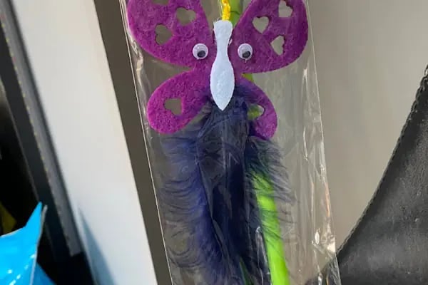 CikletPetshop Avcılar - Resim 13