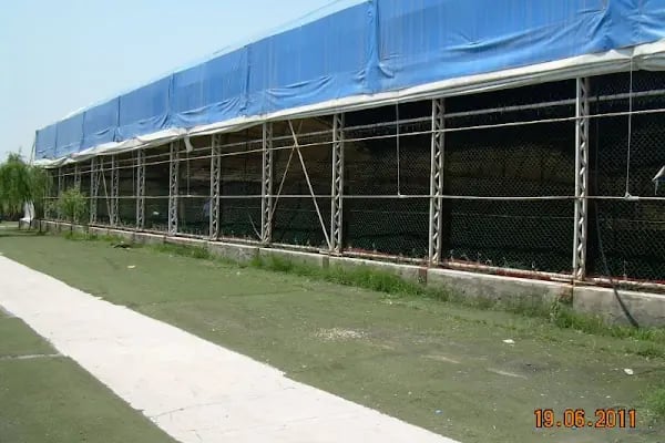 Özel Tenis Dersi - Resim 4