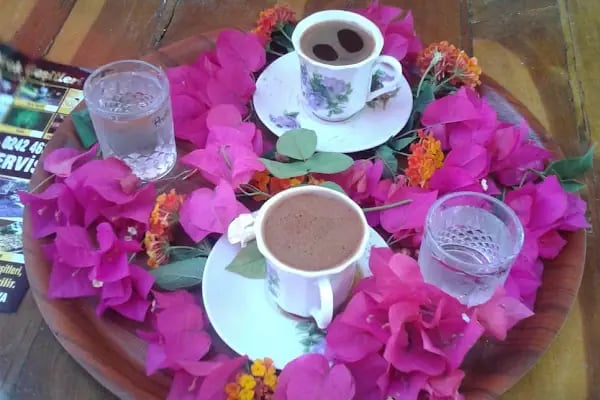 saray köşkü - Resim 2