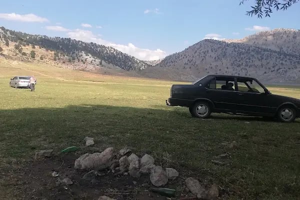 BERKAY TARIM - Resim 19