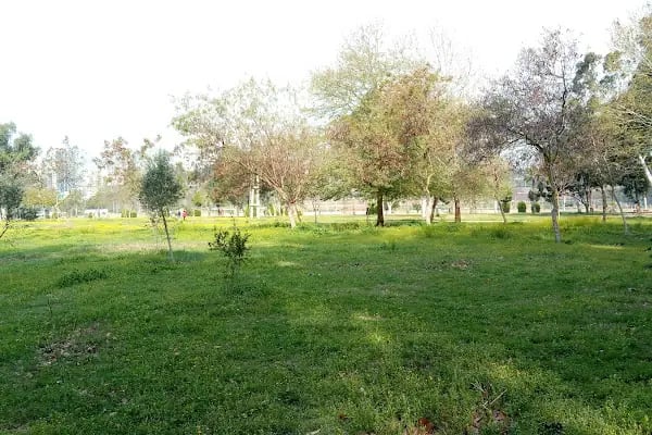 M. Gülergin Stadyumu - Resim 17