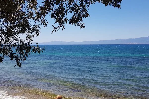 Afşar Tatil Köyü Plajı - Resim 1