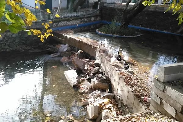 Ilıca Restorant Plus - Resim 12