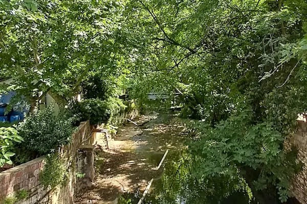 Ilıca Restorant Plus - Resim 5