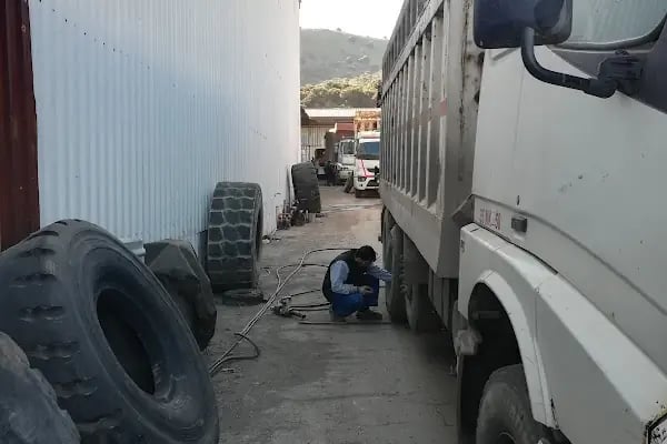 Gönüllü Oto Lastik MG lastik - Resim 4