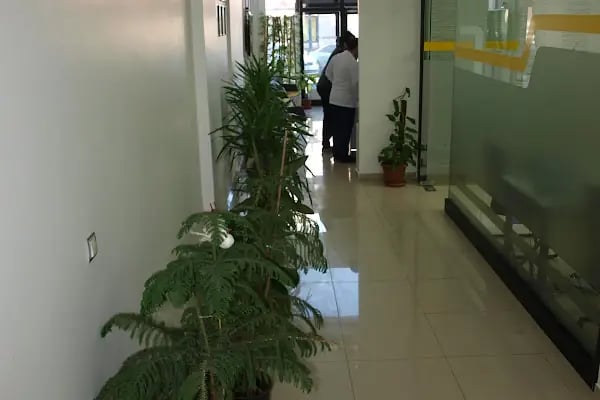 ÖZEL ZEUGMA AĞIZ VE DİŞ SAĞLIĞI POLİKLİNİĞİ - Resim 15